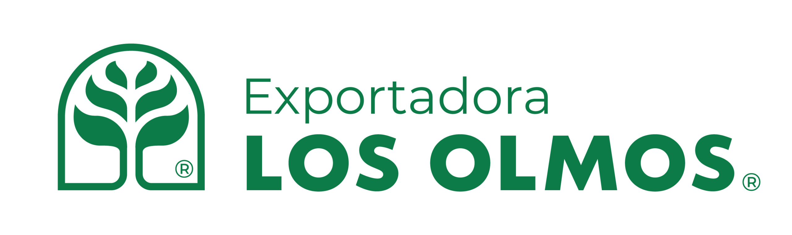 logos r_Logo exportadora mr copia verde_Logo exportadora mr