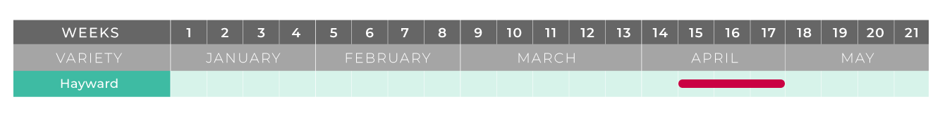 kiwi export calendar