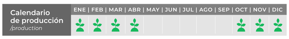 Calendario de producción semilleros