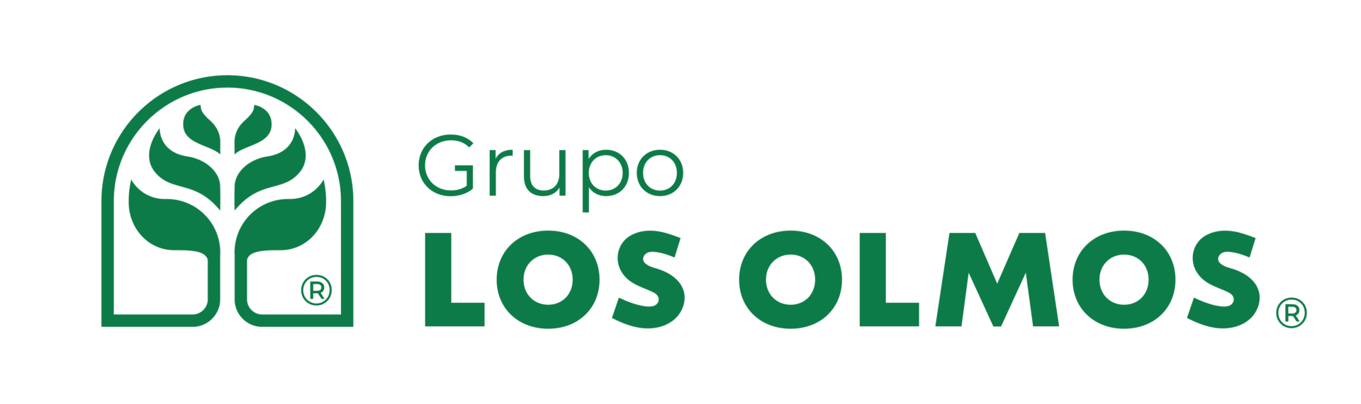 Grupo Los Olmos